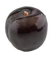 Муляж Слива