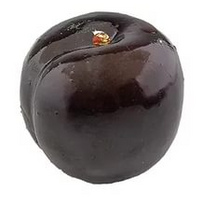 Муляж Слива